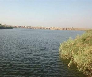 بحيرة «عرب العليقات».. كنوز ربانية مدفونة في أرض القليوبية