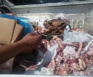 ضبط سمان ودواجن فاسدة في الموسكى.. وحشرات زاحفة بثلاجة كبابجي بوسط القاهرة (صور)