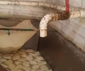 ضبط مصنع منتجات ألبان بدون ترخيص في الرحمانية بالبحيرة (صور)