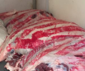تحرير 59 مخالفة خلال حملة للطب البيطري على محلات بيع اللحوم بالبحيرة