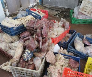احذروا المشويات الفاسدة.. «حماية المستهلك» يحرر 34 محضر للحوم مذبوحة خارج المجازر