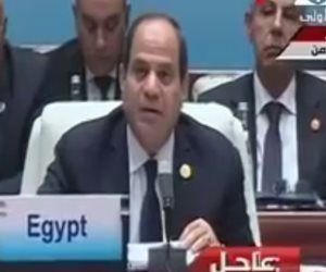 السيسى: مصر ترى فى «بريكس» تجربة فريدة جديرة بالمحاكاة (فيديو)