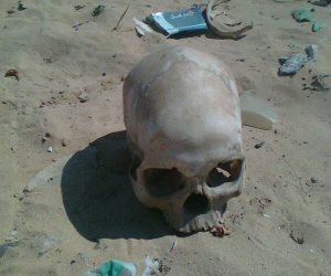 العثور على جماجم وعظام بشرية من 30 عاما بمركز القوصية في أسيوط 