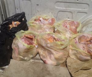 حبس مدير مصنع 4 أيام لحيازته 11 طن دجاج غير صالح للاستخدام