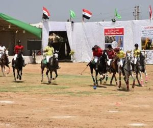 محافظ الشرقية يفتتح مهرجان الخيول العربية الأصيلة بمدينة بلبيس (صور)