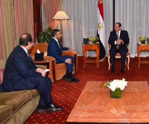 السيسي: المرحلة الراهنة تستلزم مواجهة محاولات التدخل في شئون الدول العربية