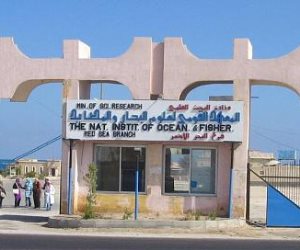 معهد علوم البحار يبحث الوضع البيئي وتطبيقات الإدارة الساحلية