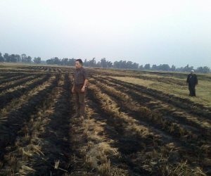 اندلاع حريق هائل تسبب في ائتلاف 18 قيراط أرز ببسيون