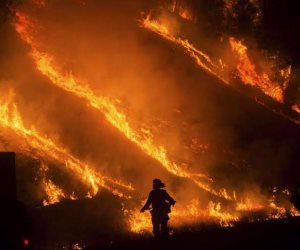 ارتفاع ضحايا حرائق غابات كاليفورنيا لـ38 قتيلا .. ومئات المفقودين "صور"