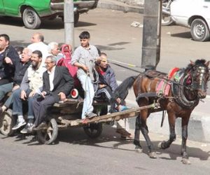 رئيس حي حلوان: حصر عربات الكارو تمهيدا لاستبدالها بتروسيكلات