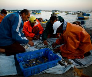  صيادون فلسطينيون يستعدون للإبحار في غزة بعد توسعة مساحة المنطقة المسموح الصيد بها