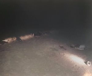 وزارة الداخلية تكشف تفاصيل حادث الواحات الإرهابي في بيان عاجل (صور)