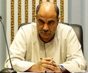 برلماني يطالب بمحاكمة سعد الدين إبراهيم بتهمة الخيانة العظمى