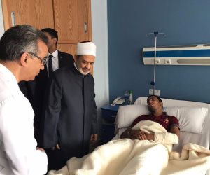 شيخ الأزهر: الشعب المصري لن يهتز من أفعال حركات ندلة سافلة