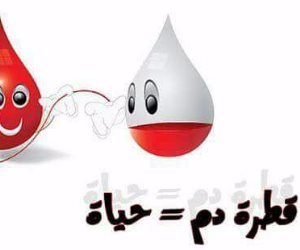مؤسسة "حياة" تنظم حملة للتبرع بالدم لصالح مستشفى العريش غدا