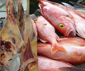 أسعار الأسماك اليوم الاربعاء 31-1-2018 في مصر