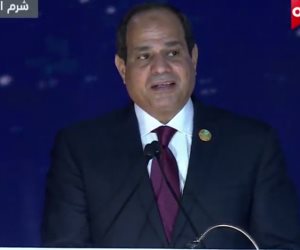 باحث مصرى للسيسى أنا عاوز أتكلم.. والرئيس: "إحنا عاملين المؤتمر عشانكم"