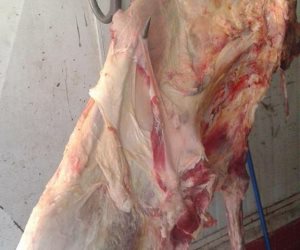 رسميًا.. ختم اللحوم البلدية في بورسعيد ببصمة جديدة
