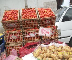 رئيس حي الجمرك بالإسكندرية يوفر الخضروات للأهالي بتخفيض يصل لـ 50% (صور)