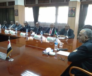 ختام اجتماعات الهيئة الفنية المشتركة بين مصر والسودان‎
