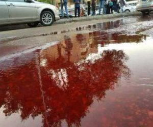 دماء مجهولة تظهر  بساحة جامعة عين شمس.. والفلكي أحمد شاهين: ساكشف سرها لاحقا " صور " 