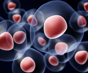 استخدام الخلايا الجذعية لانتاج أول غدة صماء صناعية للأطفال المصابين بخلل مناعي  