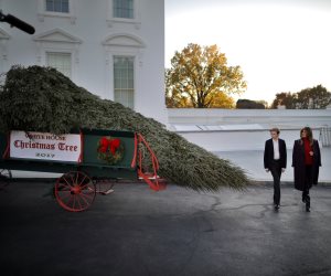 البيت الأبيض.. ميلانيا تستقبل شجرة الكريسماس فى غياب ترامب "صور"