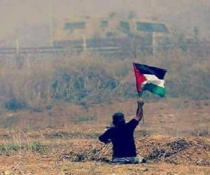 فلسطين: الاحتلال الإسرائيلى يسعى لتصعيد وتيرة جرائمه.. وترامب المسئول 