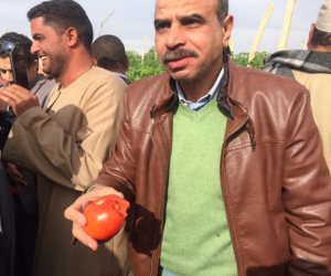"مسكرة".. رئيس "زراعة البرلمان" يتذوق طماطم الأسلاك في بني سويف (صور) 