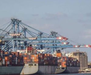 ميناء دمياط يستقبل 11 سفينة حاويات وبضائع عامة في 24 ساعة