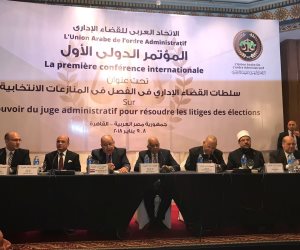 المستشار محمد رسلان: الانتخابات حق منحه الدستور ونظمه القانون