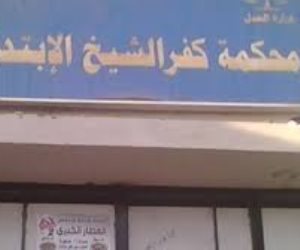 كفر الشيخ تستعد لانتخابات الرئاسة بتسجيل طلبات المغتربين عن محافظاتهم