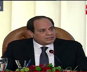 السيسي: الدستور المصري متقدم.. وكفل حرية ونزاهة البرلمان