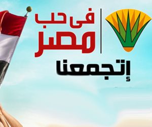 مبادرة "في حب مصر".. التحالف الوطني يتصدى لقوائم الانتظار في العمليات الجراحية