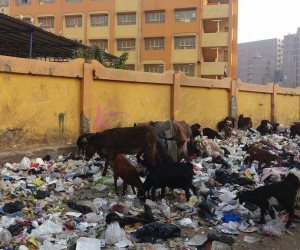 محافظ القاهرة يواجه القمامة بـ5 آلاف سلة مهملات 