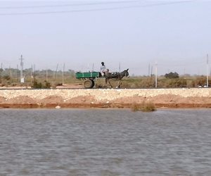 غرق أراضي زراعية بالوادي الجديد بعد انهيار جسر بركة مياه صرف زراعي (صور)