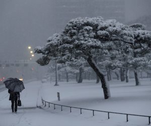 حدث في اليابان .. تساقط الثلوج يتسبب في مصرع 17 شخصا وإصابة 90 