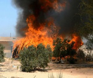 الجيش الثانى يدمر أوكار إرهابيين ويقضى على تكفيريين بشمال سيناء