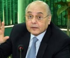 شقيق موسى: رئيس حزب الغد يتقدم بأرواقه ترشحة للرئاسة غدا