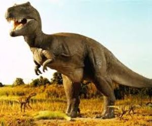 كيف انقرضت الديناصورات من على كوكب الأرض من 66 مليون سنة؟ 