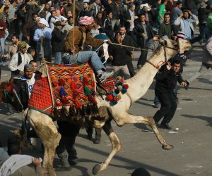 2 فبراير 2011.. يوم "برك الجمل" في ميدان التحرير