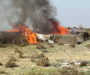 الجيش الثاني الميداني: القضاء على إرهابي شديد الخطورة وضبط 6 آخرين بشمال سيناء