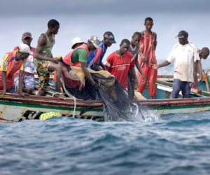غينيا تعتقل 107 صياد سنغالي لتجاوزهم الحدود البحرية 