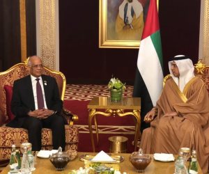 نائب رئيس مجلس الوزراء الإماراتي: مصر تمثل القاعدة التي ترتكز عليها كل الدول العربية (صور)