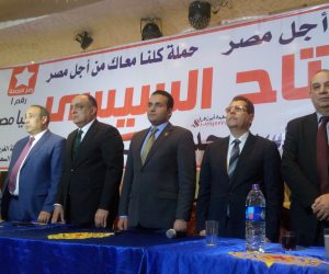محافظات مصر تواصل تأيدها للرئيس السيسى.. في مؤتمرات شعبية حاشدة 