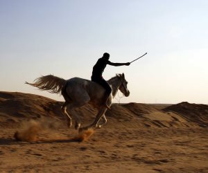 رياضات الصحراء.. تقاليد لا يتخلى عنها شباب القبائل في سباقات الهجن (صور)