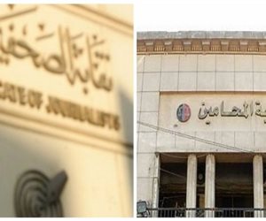 كيف تطعن النقابات المهنية والعمالية على قرارات النقيب؟.. قانونيون يجيبون