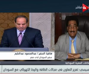 السفير السوداني: وسائل التواصل في الخرطوم تعمها السعادة بعد لقاء السيسي والبشير (فيديو)