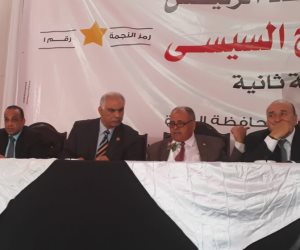 مؤتمر جماهيري لـ "كلنا معاك من أجل مصر" في الشرقية  (صور)