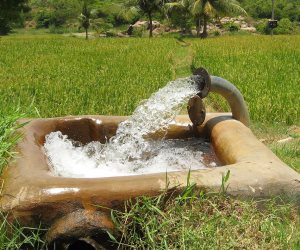 هل تتجه الدولة لتبني مشروع "الزراعات الذكية" لتوفير استهلاك المياه؟